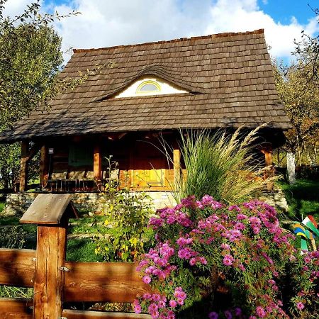 Вілла Jabloniowy Sad Кальварія Пацлавська Екстер'єр фото