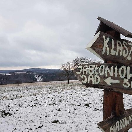 Вілла Jabloniowy Sad Кальварія Пацлавська Екстер'єр фото
