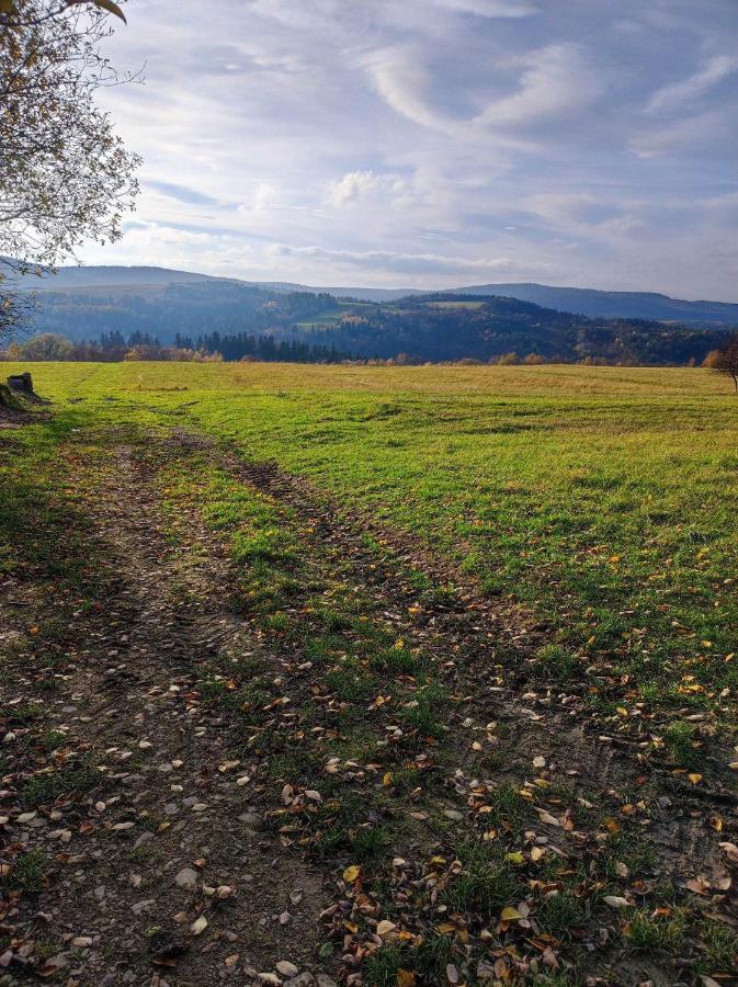 Вілла Jabloniowy Sad Кальварія Пацлавська Екстер'єр фото