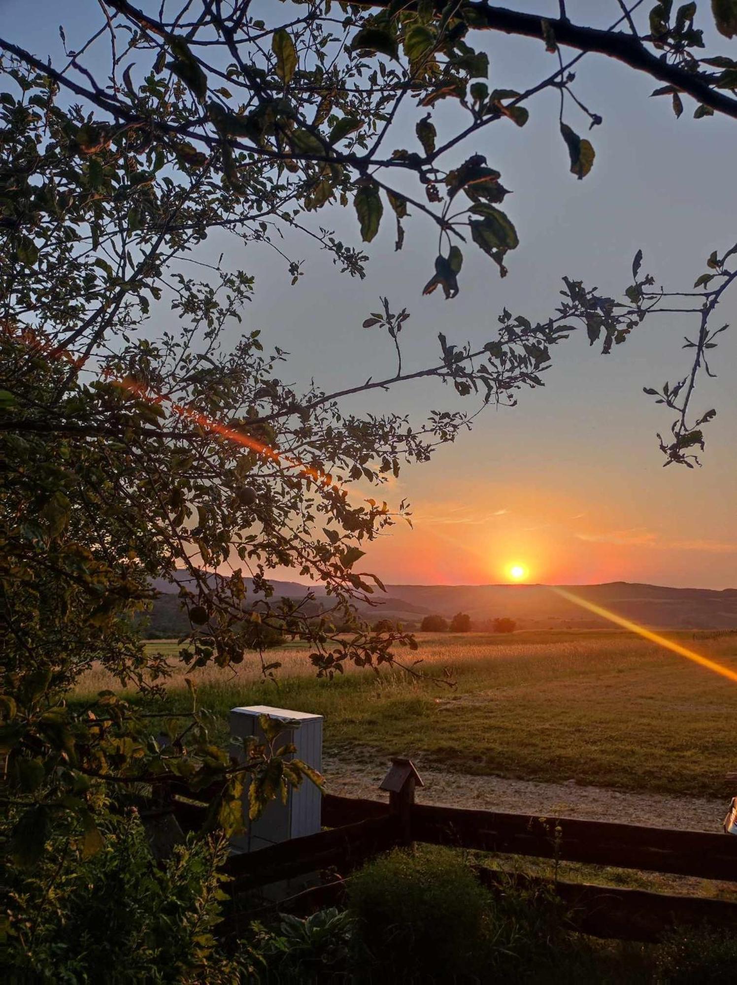 Вілла Jabloniowy Sad Кальварія Пацлавська Екстер'єр фото